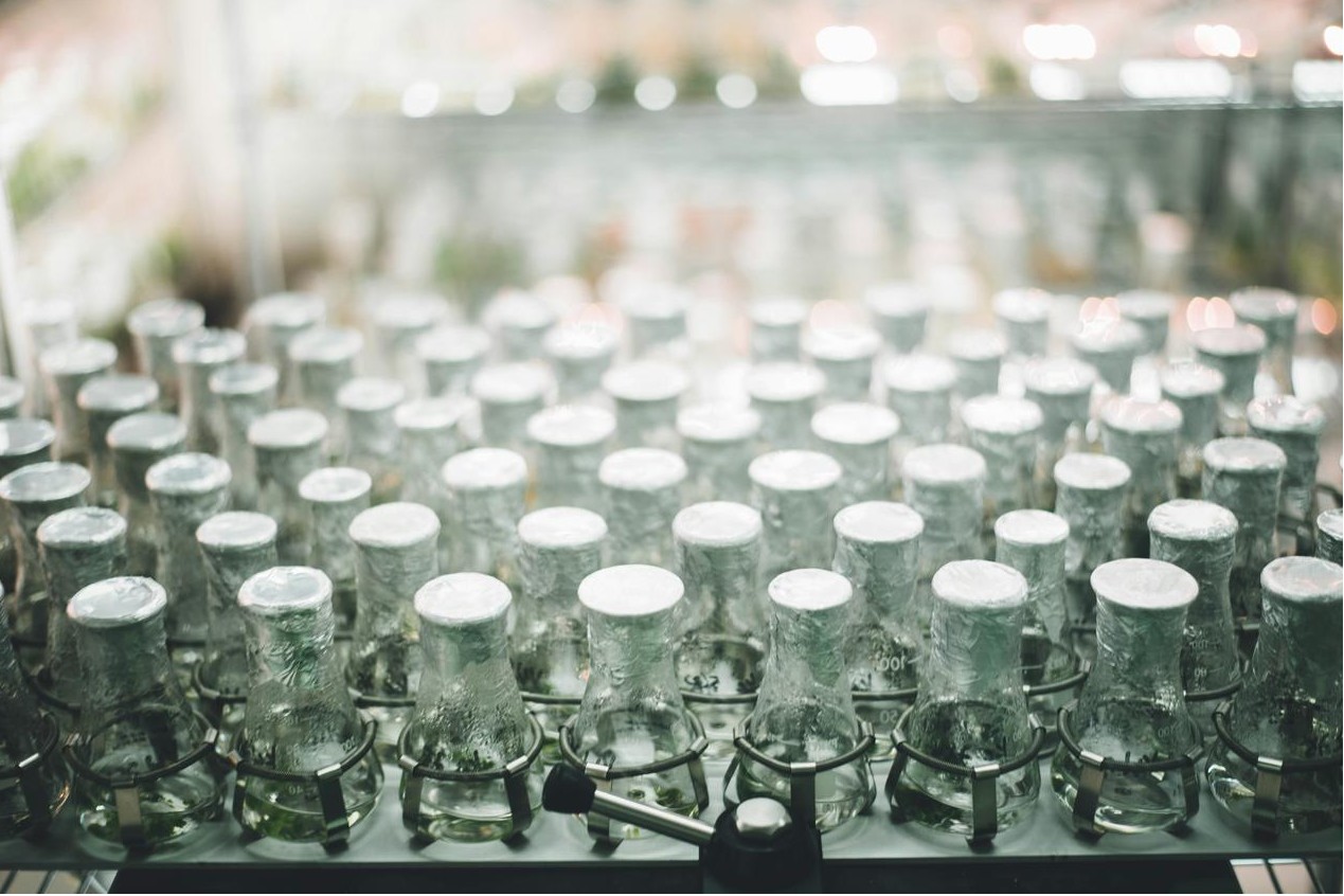 Robot colaborativo en taller